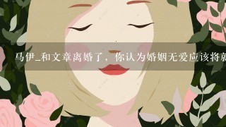 马伊_和文章离婚了，你认为婚姻无爱应该将就还是快刀斩乱麻？