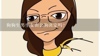 狗狗生男生女由公狗决定吗？