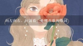 向左向右，向前看。是哪首歌的歌词