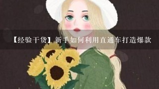 【经验干货】新手如何利用直通车打造爆款