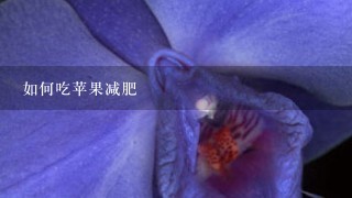 如何吃苹果减肥