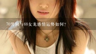 70男狗与88女龙感情运势如何?