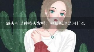 额头可以种植头发吗？种植原理是用什么