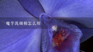 魔芋洗颜棉怎么用