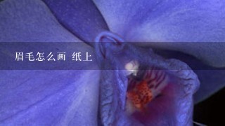 眉毛怎么画 纸上