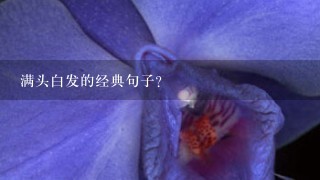 满头白发的经典句子？