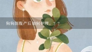 狗狗剖腹产后如何护理，？？