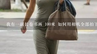 我有1副长卷书画 100米 如何用相机全部拍下来 希望摄影爱好者 赐教