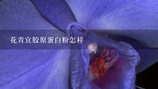 花青宜胶原蛋白粉怎样