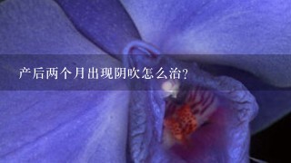 产后两个月出现阴吹怎么治？