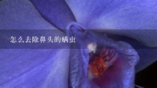 怎么去除鼻头的螨虫