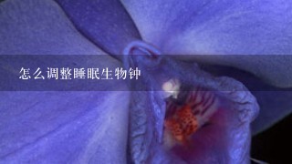 怎么调整睡眠生物钟