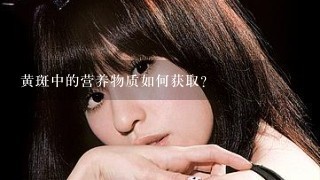 黄斑中的营养物质如何获取?