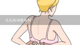 毛孔的功能如何?