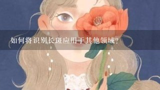 如何将识别长斑应用于其他领域?